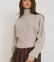 turtelneck sweater