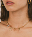 Jasper Charm Necklace