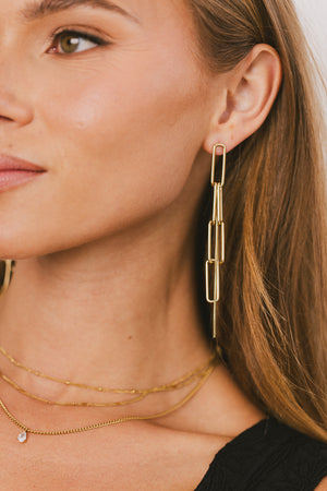 Leo Chain Earrings